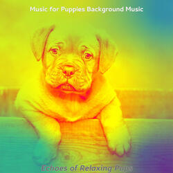 Spacious Ambience for Calming Your Puppy