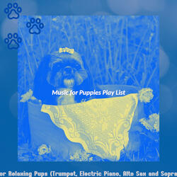 Spirited Ambience for Relaxing Pups