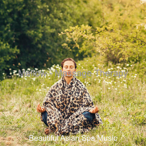 Mellow - Massage Therapy
