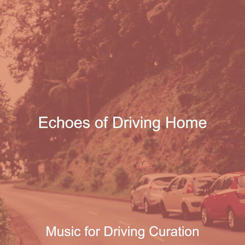 Echoes of Driving Home