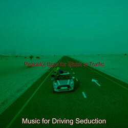 Guitar Music Soundtrack for Coming Home from Work