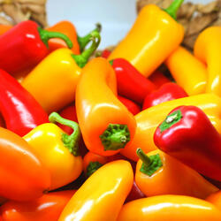 Excellent Easy Listening Music - Vibe for Cooking