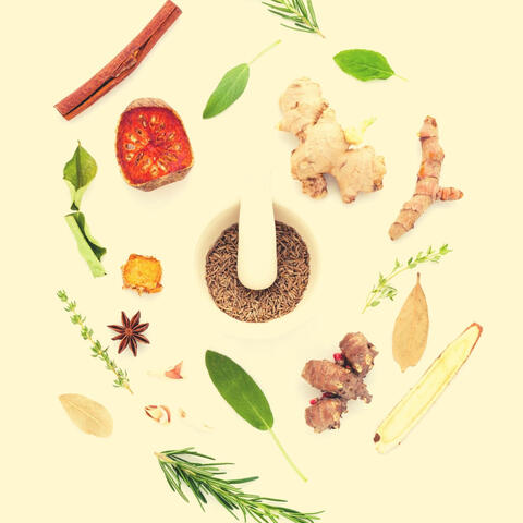 Guitar Solo - Music for Dinner Time