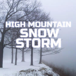 Snowstorm on the Mountain (feat. Weather Forecast, Weather Unlimited, White Noise Unlimited, Storm Power, Nature Sound & The Sounds Of Nature)