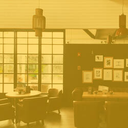 Bubbly Music for Organic Cafes