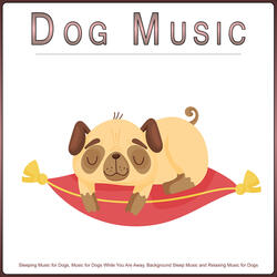 Calm Piano Music For Dogs