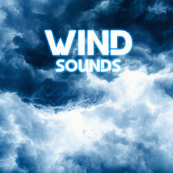 Sleep Wind & Rain (feat. Weather Forecast, Weather White Noise, Water Sounds, The Nature Sounds, Nature Breeze & Rain Power)