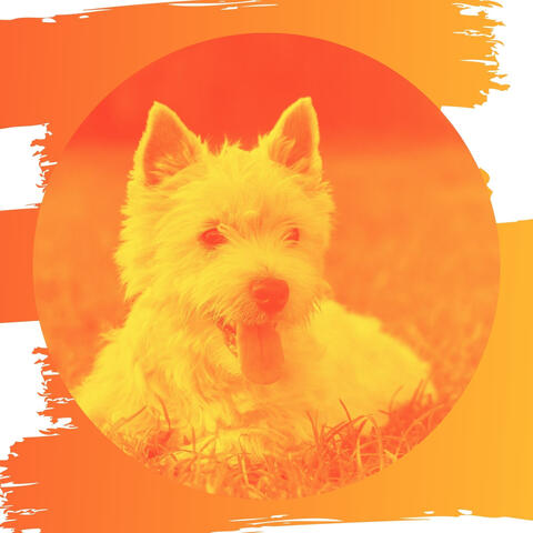 Background Music for Dog Walking