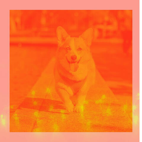 Harp Music - Background Music for Doggy Naptime