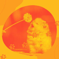 Background for Dog Walking