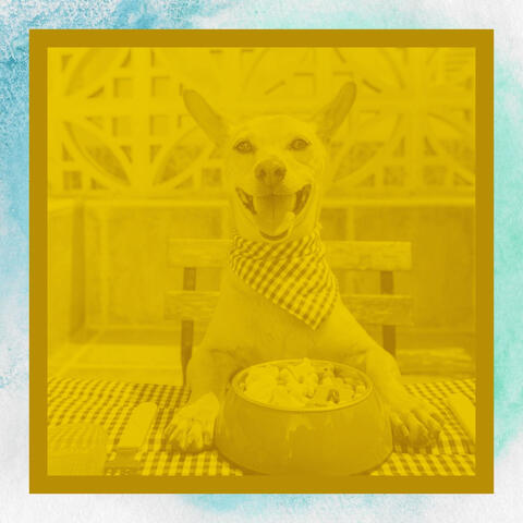 Music for Dog Walking - Acoustic Guitar