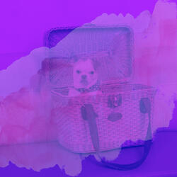 Background for Calming Your Dog