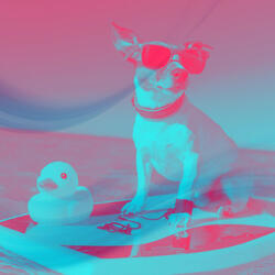 Mysterious Backdrops for Doggy Naptime