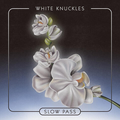White Knuckles