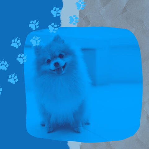 Bossa Trombone - Background Music for Relaxing Your Dog