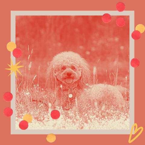 Bubbly Bossa Saxophone - Background for Doggy Stress