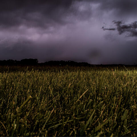 Rain Sounds: Cloudy Day