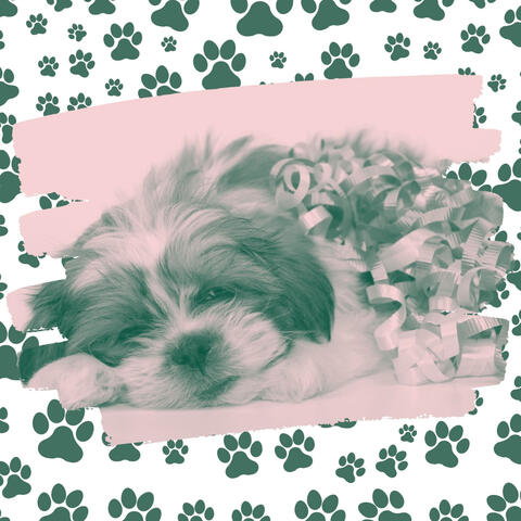 Music for Serene Puppies - Wonderful Trumpet Jazz