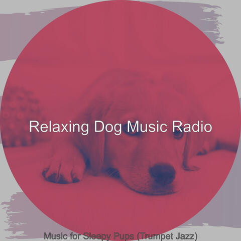 Music for Sleepy Pups (Trumpet Jazz)