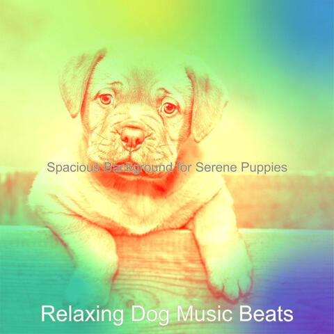 Spacious Background for Serene Puppies