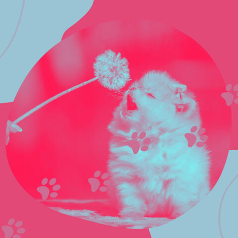 Music for Mans Best Friend - Vibrant Trumpet Jazz