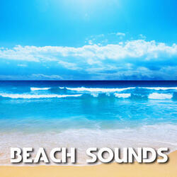 Beach Stormy Wind & Thunder (feat. Wind Sounds, Weather Forecast, Weather Storms, Weather Unlimited, Weather White Noise & White Noise Unlimited)
