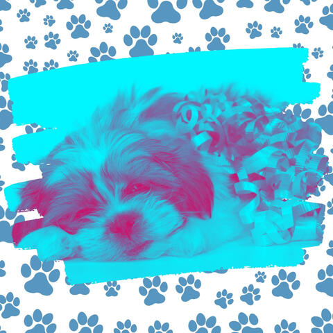 Backdrop for Serene Puppies - Soulful Trumpet Jazz