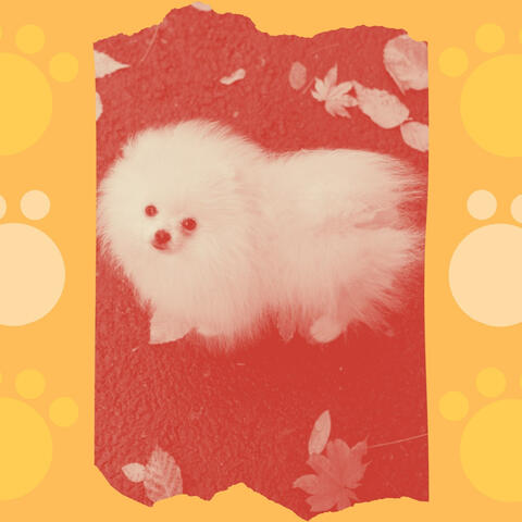 Music for Serene Puppies - Stylish Trumpet Jazz