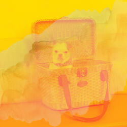 Pulsating Jazz Trio - Vibe for Mans Best Friend