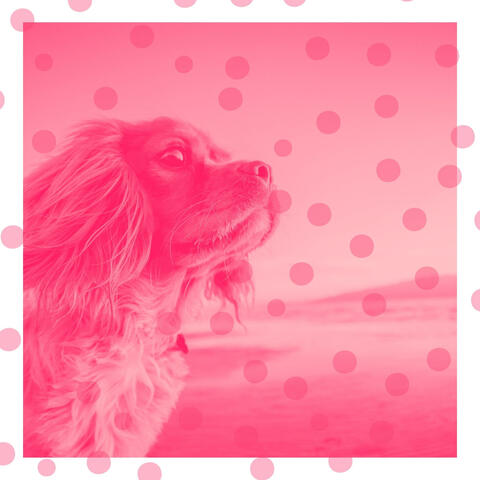 Bgm for Serene Puppies