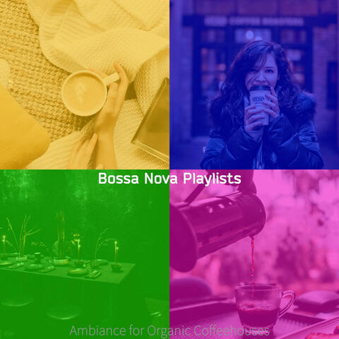 Ambiance for Organic Coffeehouses