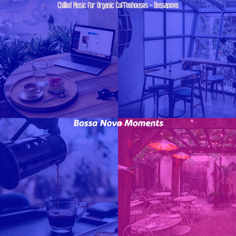 Chilled Music for Organic Coffeehouses - Bossanova