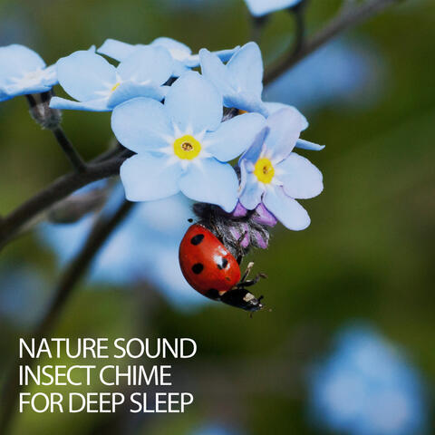 Nature Sound Insect Chime For Deep Sleep