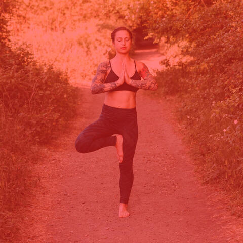 Sunny Backdrop for Instant Relax