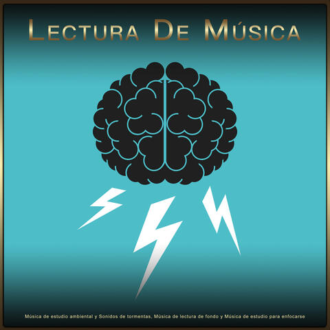 Lectura De Música: Música de estudio ambiental y Sonidos de tormentas, Música de lectura de fondo y Música de estudio para enfocarse