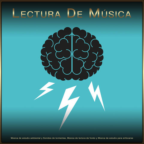 Musica para Concentrarse & Fondo de la lectura & Musica Para Leer