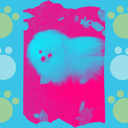 Deluxe Moods for Dogs at Home Alone