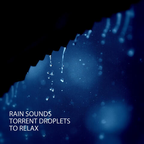 Rain Sounds: Torrent Droplets To Relax