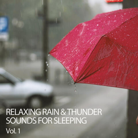 Relaxing Rain & Thunder Sounds For Sleeping Vol. 1