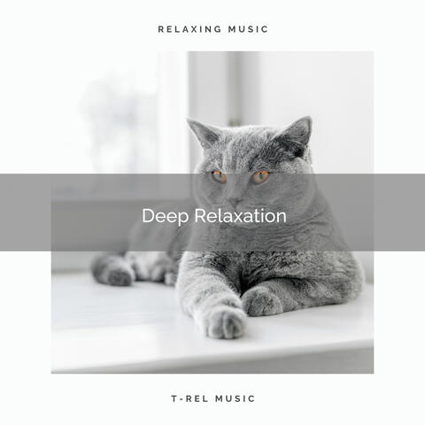 4 Cats: Deep Relaxation