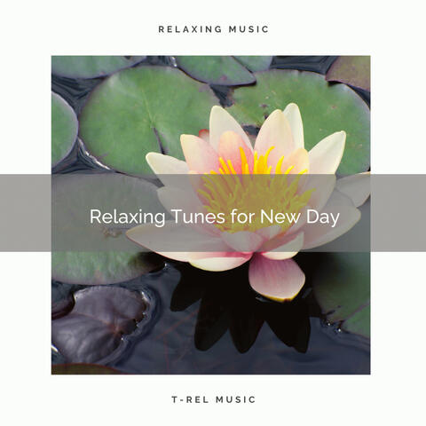 2020 Best: Relaxing Tunes for New Day