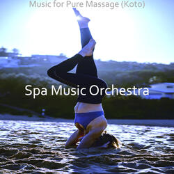 Wondrous Koto and Strings - Vibe for Massage