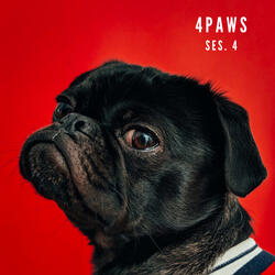 Music For Dog's Ears Pt 10