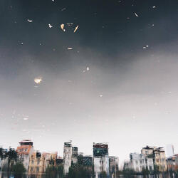 Smooth As a Smoothie