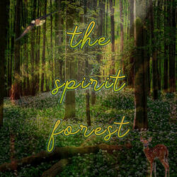 Enter the Spirit Forest