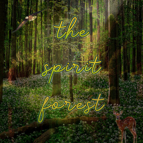 The Spirit Forest