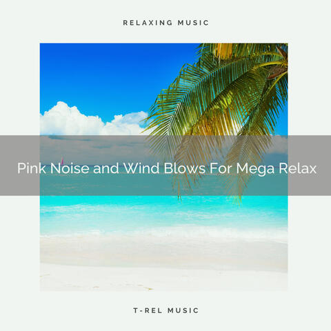 2020 Best: Pink Noise and Wind Blows For Mega Relax