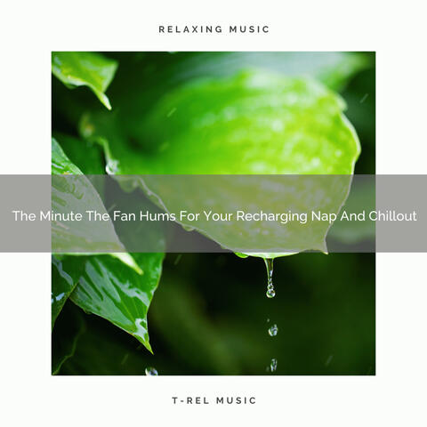 2020 Best: The Minute The Fan Hums For Your Recharging Nap And Chillout