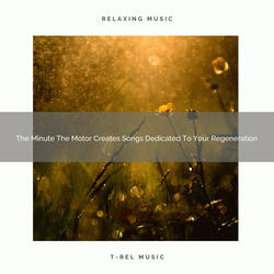 Peaceful Noise For Return, Recover, And Brand New Start