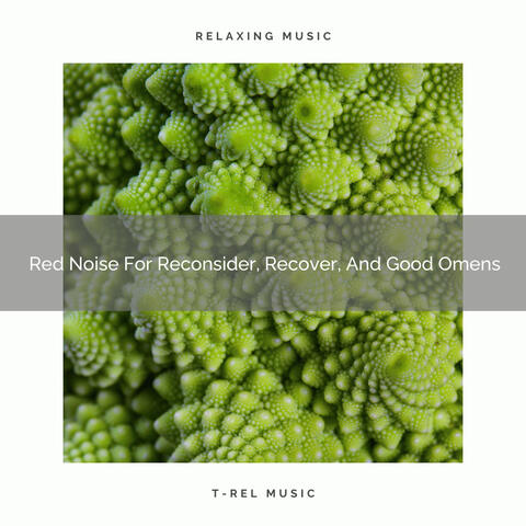 2020 Best: Red Noise For Reconsider, Recover, And Good Omens